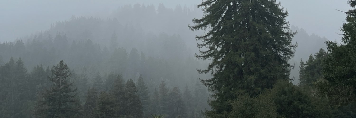canoticoyote's profile banner image