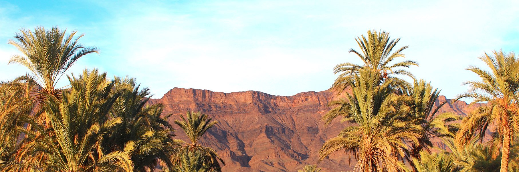 travellerbazaar's profile banner image