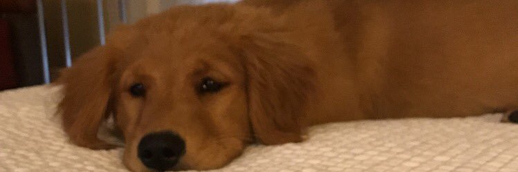 emma_turner_'s profile banner image