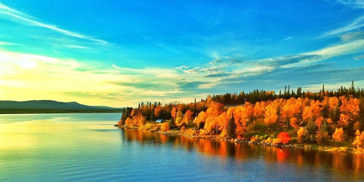 Mur_Murphy's profile banner image
