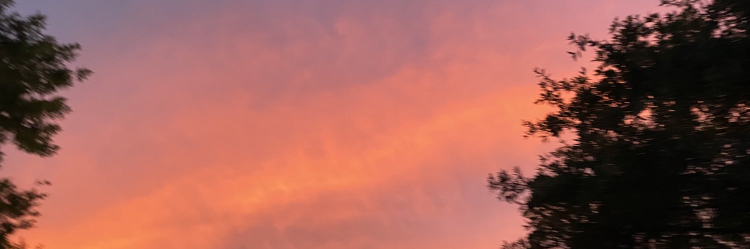 brittbcb's profile banner image