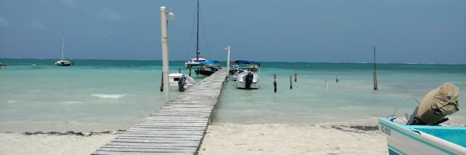 Christopher Sigsbee banner