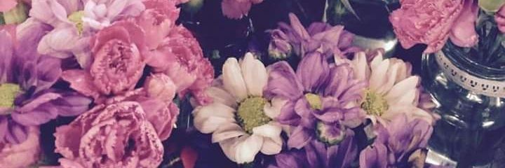 NataliaDistel's profile banner image