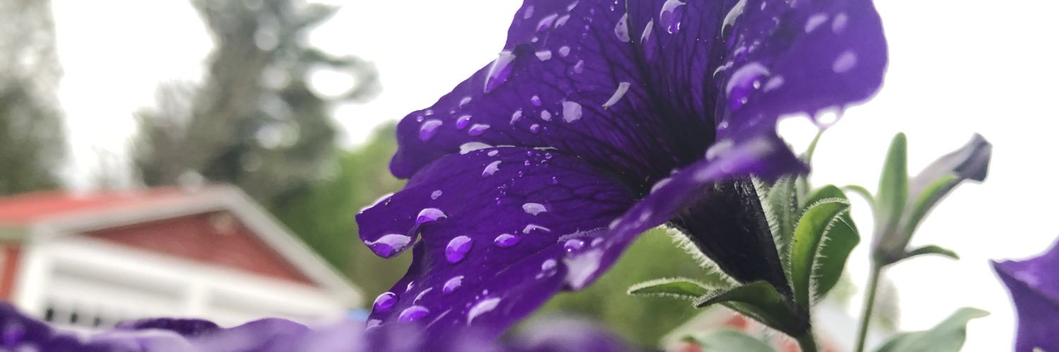 magoo_129's profile banner image
