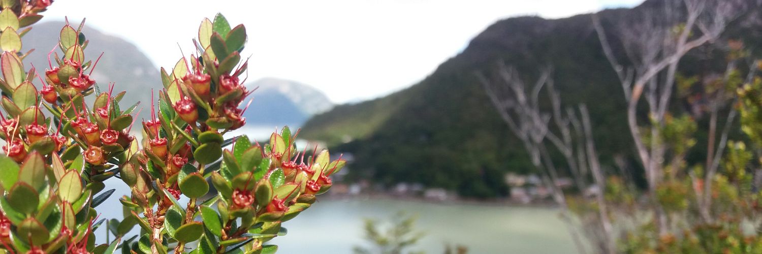 CFabiolaTorres's profile banner image