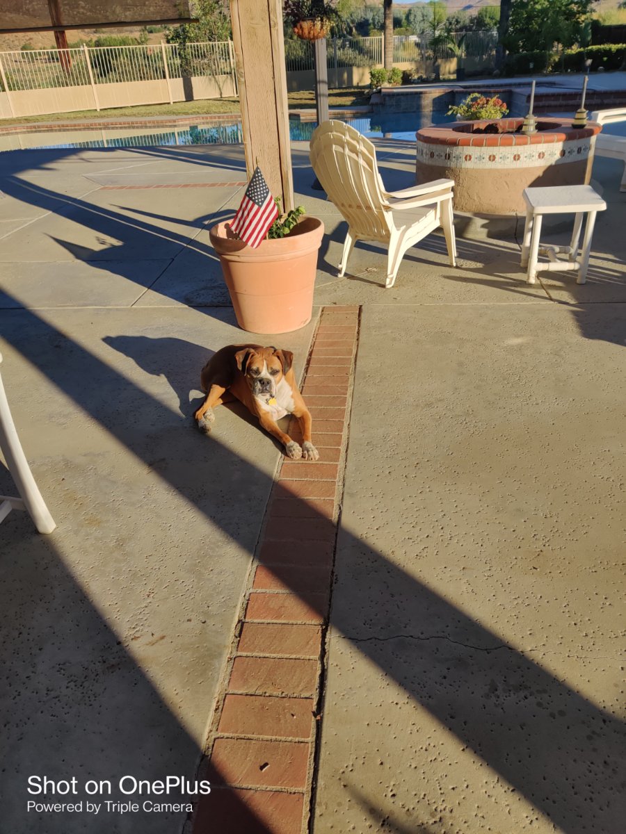 TinaPM American banner