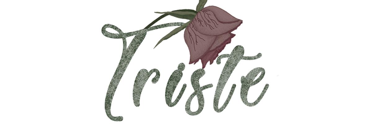 _TristeTV_'s profile banner image