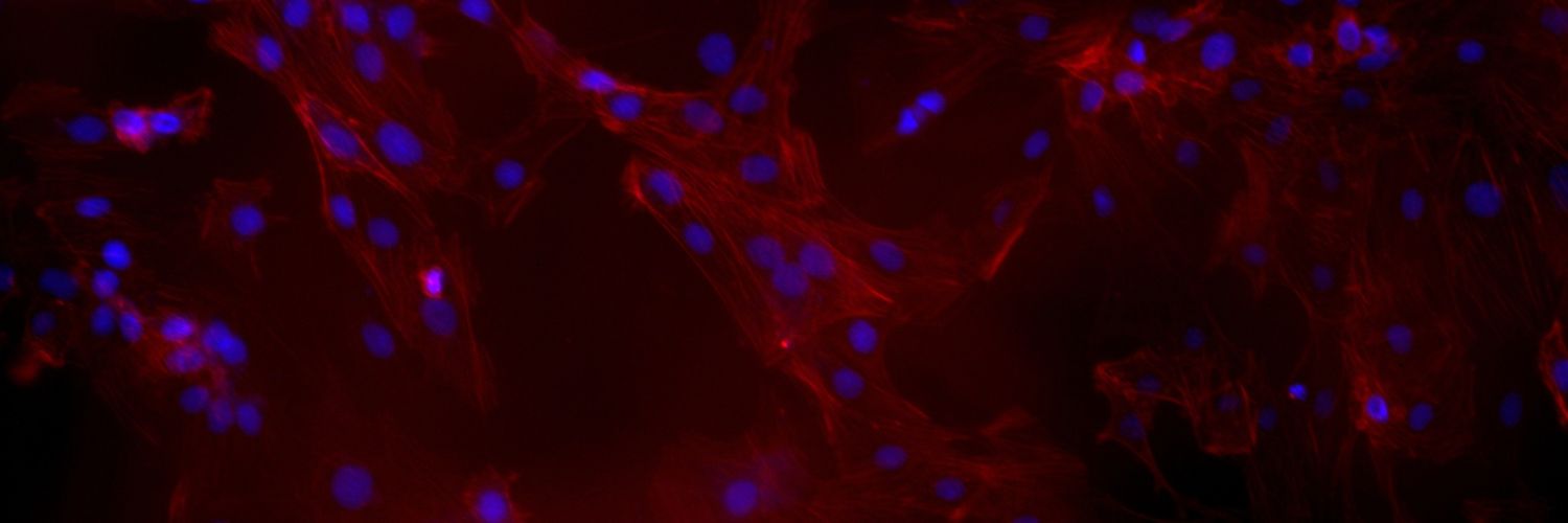 Daniel Montes Pinzón banner