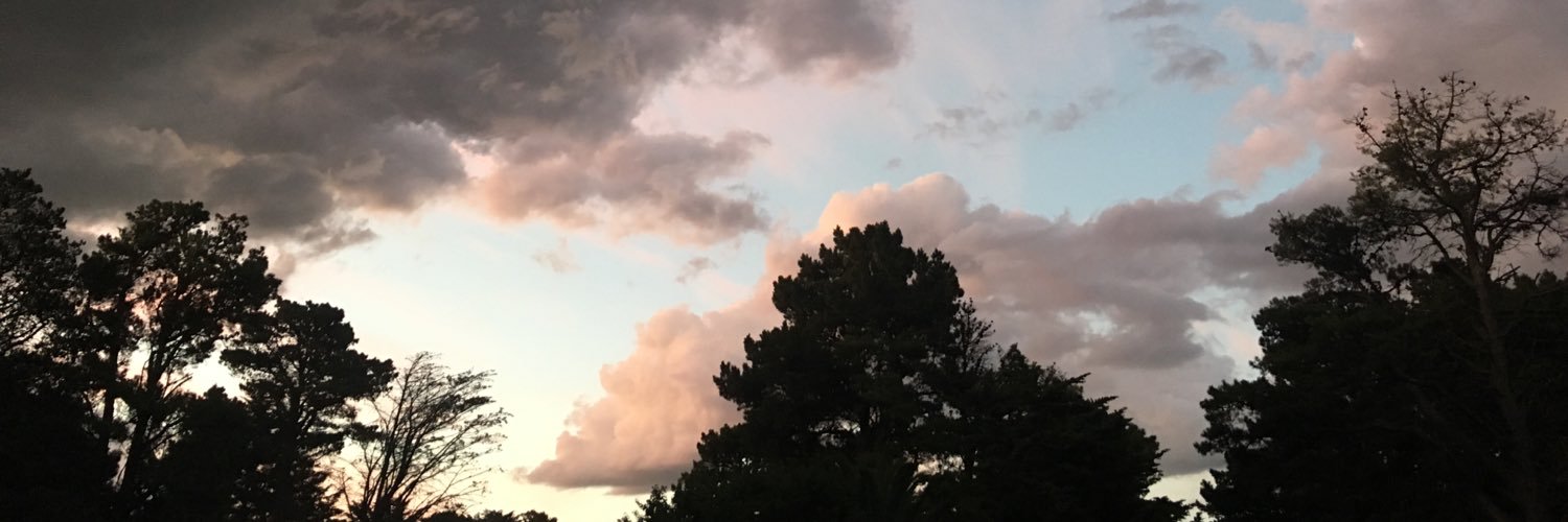 felugonzalez's profile banner image