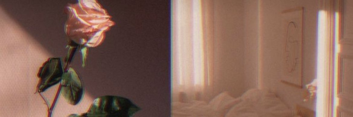 Staayy_cee's profile banner image