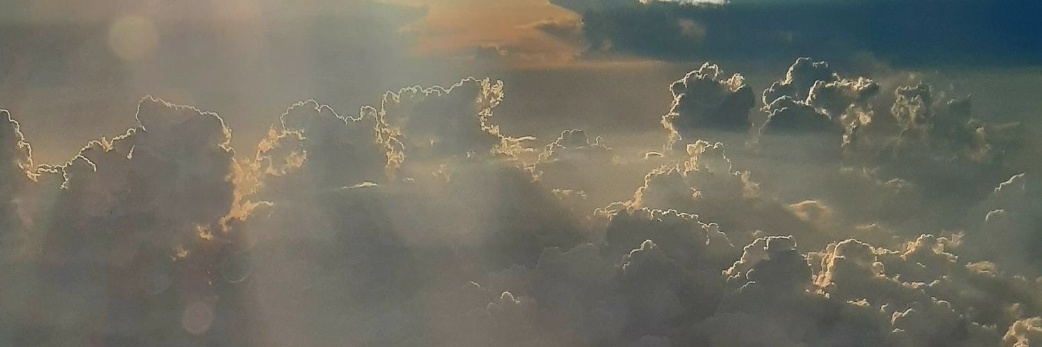 snfcil's profile banner image