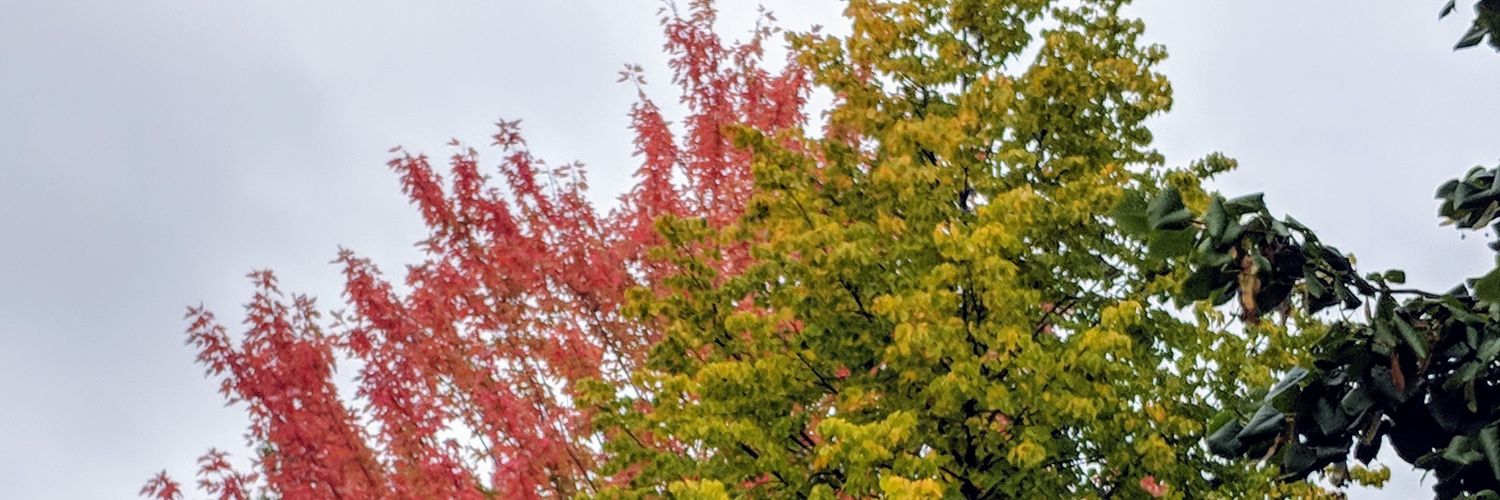 nishit_p's profile banner image