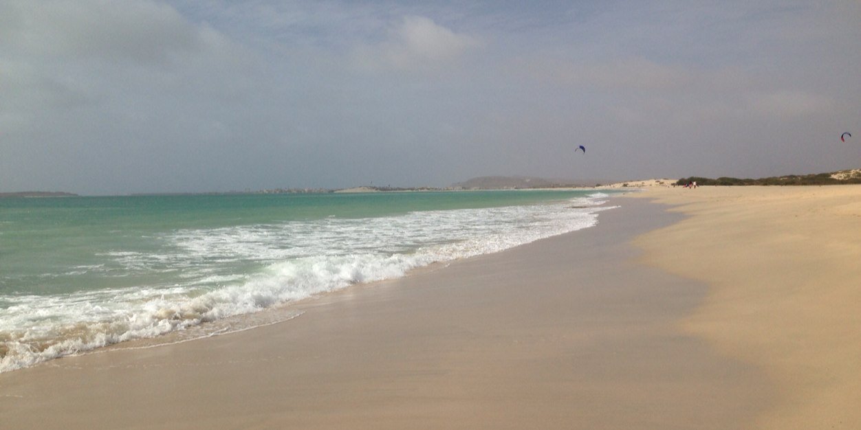 infindigo's profile banner image