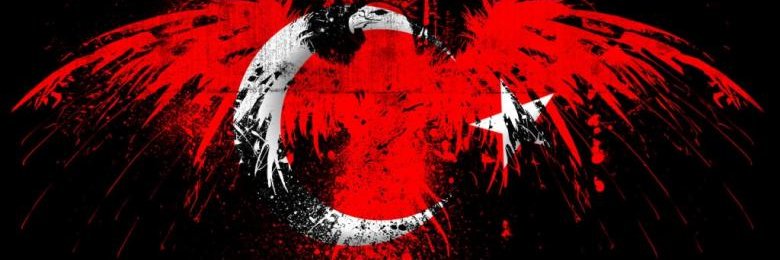 skyberk banner