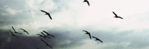 MatiBouza's profile banner image