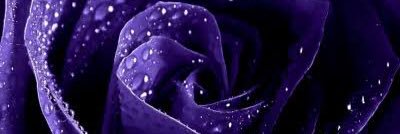 jo__yu's profile banner image