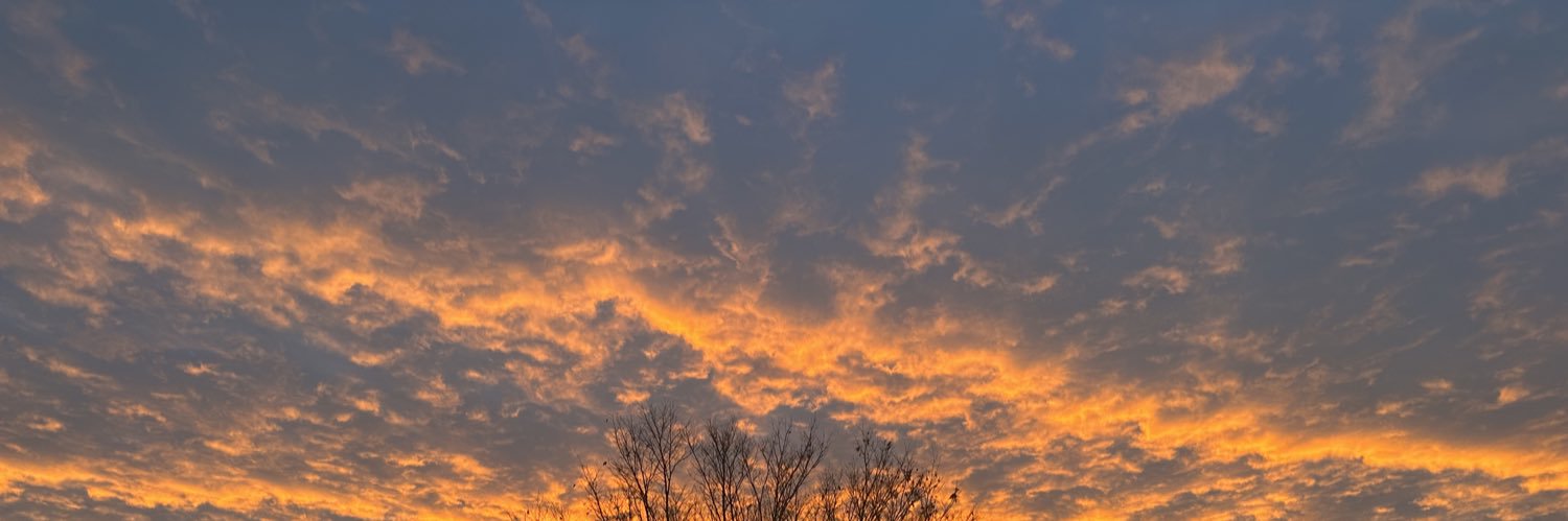 Based, Fire Fist banner