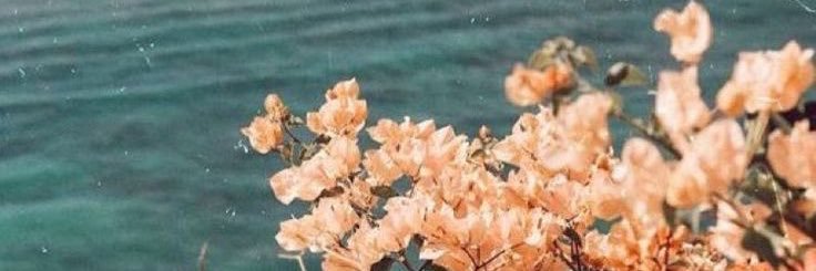 kara_dalton's profile banner image