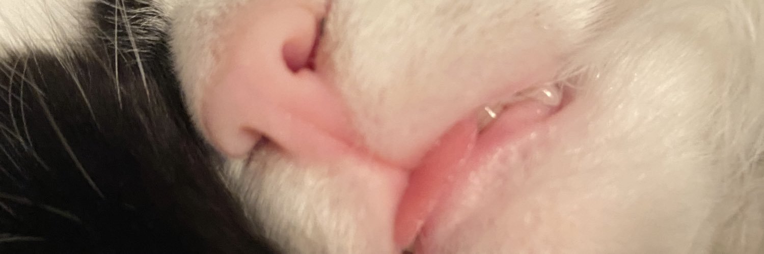 Cora_Da_Explora's profile banner image