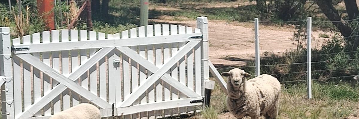 Thaddeus Sholto banner