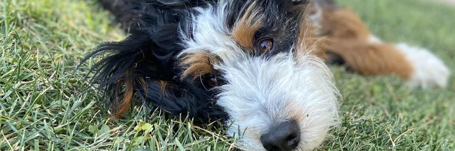 Its_No_L's profile banner image