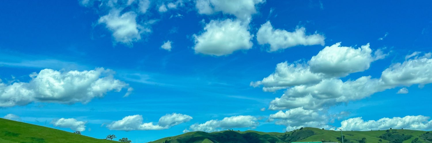 rosethegiraffe's profile banner image