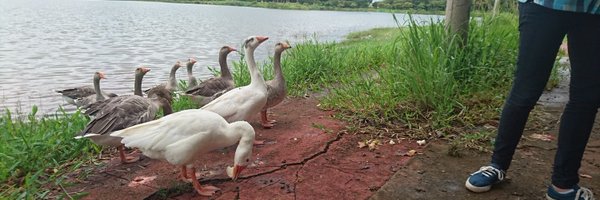 kiron Profile Banner