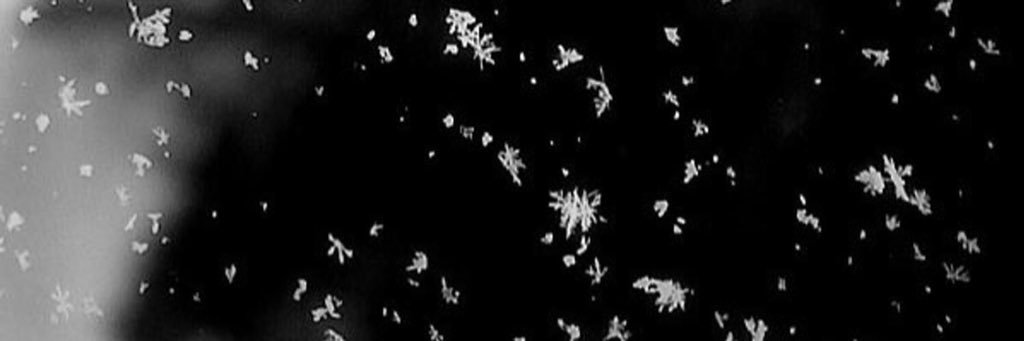 lovelytomlinsun's profile banner image