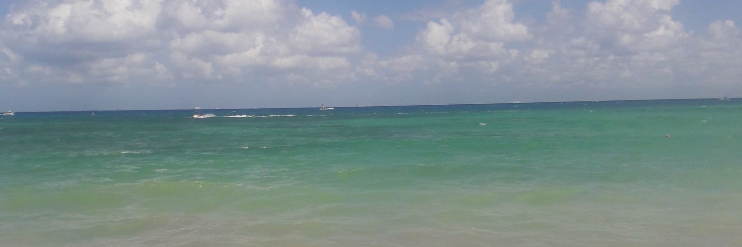 meliilvp's profile banner image