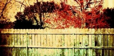 Kails1995's profile banner image