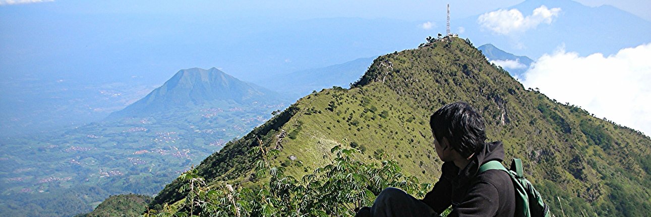 astereiya's profile banner image