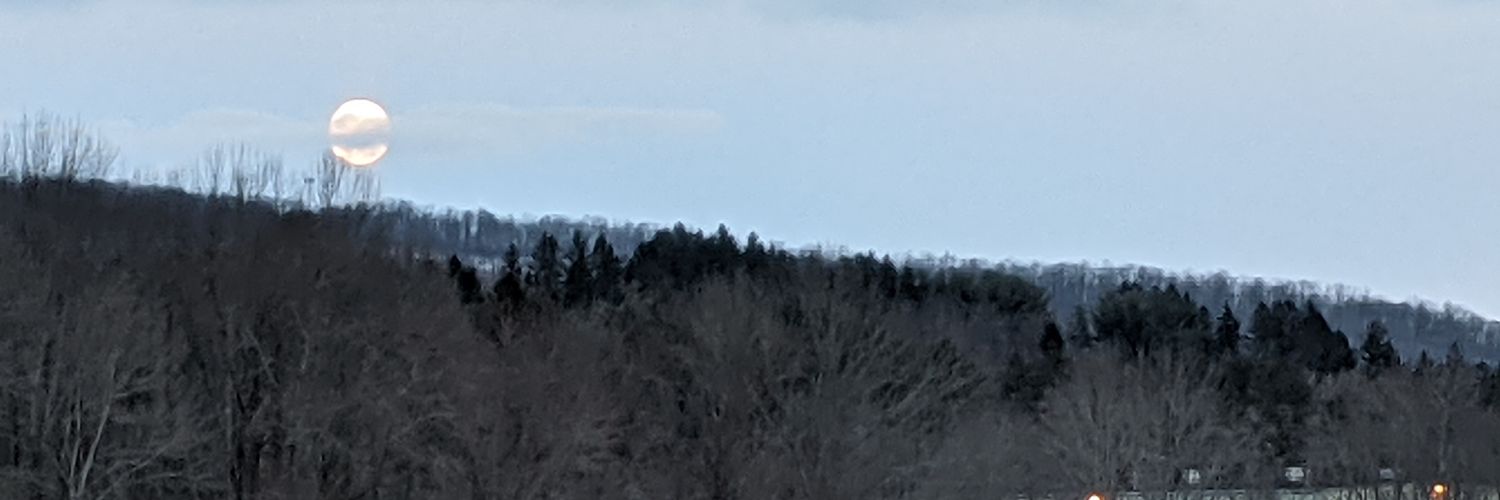 Toby Lindberg banner