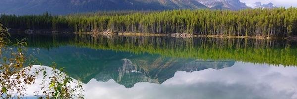CalgaryJoy's profile banner image