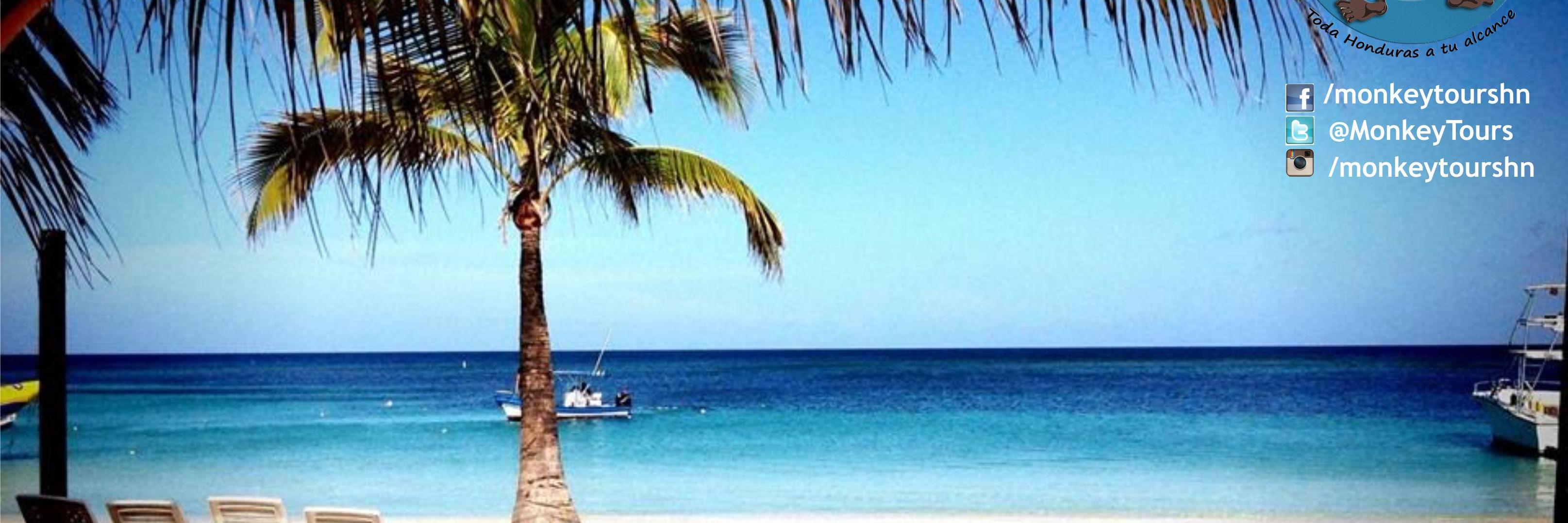 MonkeyTours's profile banner image