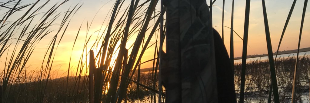 kendolltgod's profile banner image