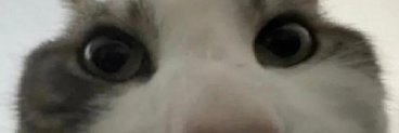 - banner