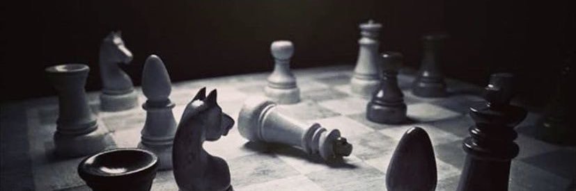jøjø banner