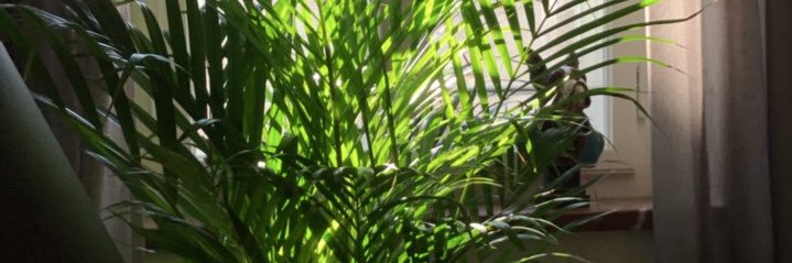 fabianone's profile banner image