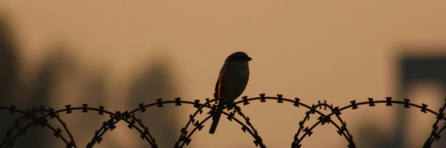 Johasp22's profile banner image