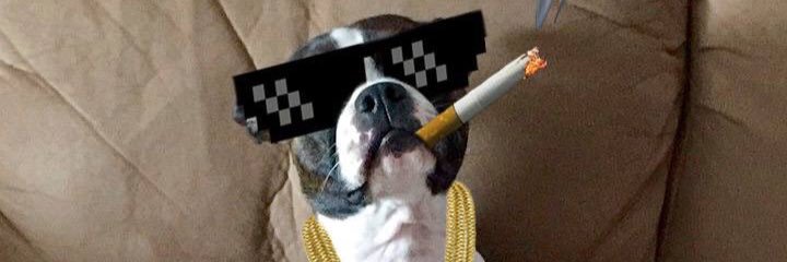 ZachDees's profile banner image