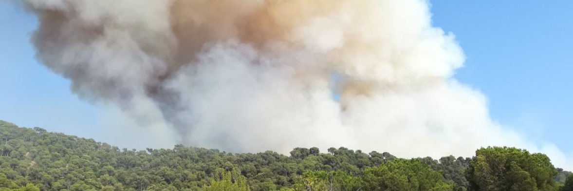 epafmont's profile banner image