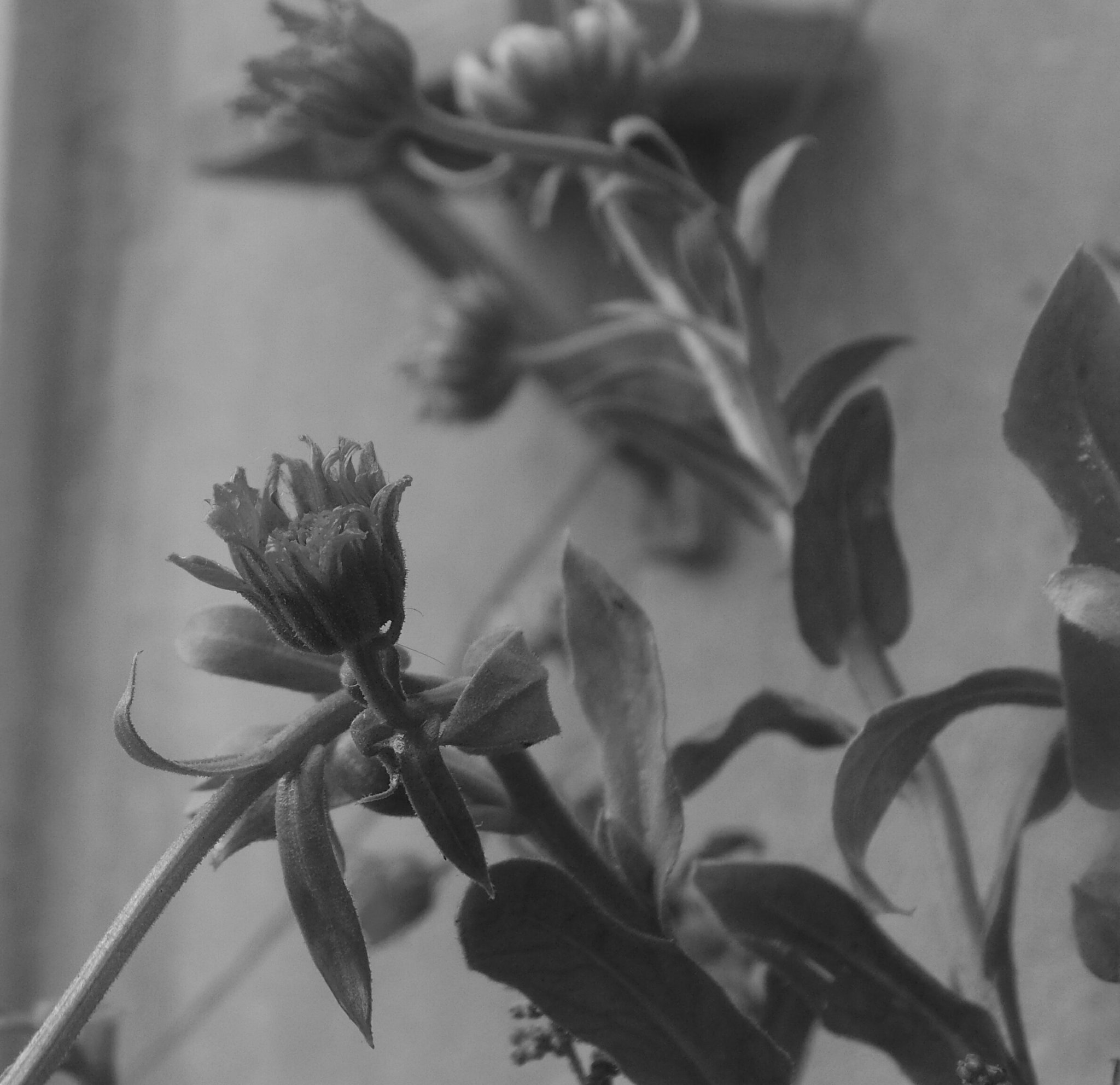 manar_fawzy's profile banner image