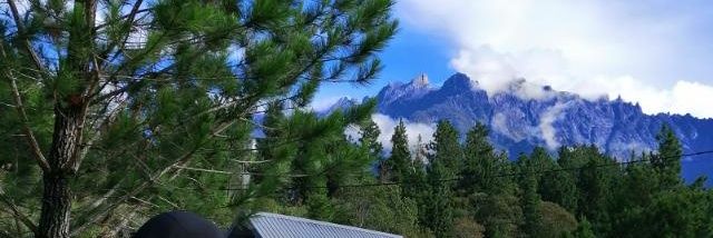 cik_amaa's profile banner image