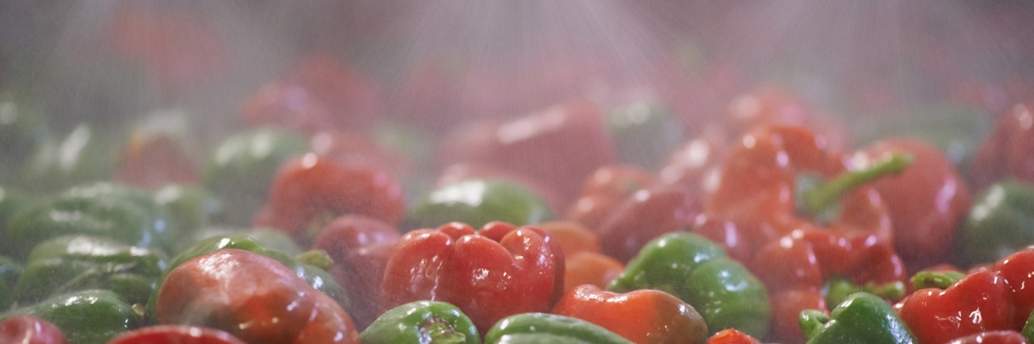 Food Engineering banner