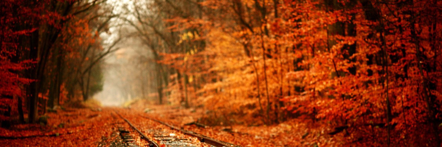 stellarposts's profile banner image