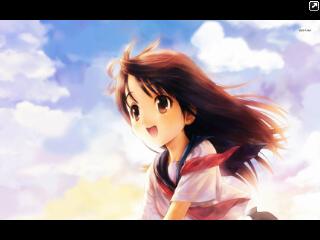 Kim banner