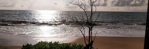 Lengthornp Profile Banner