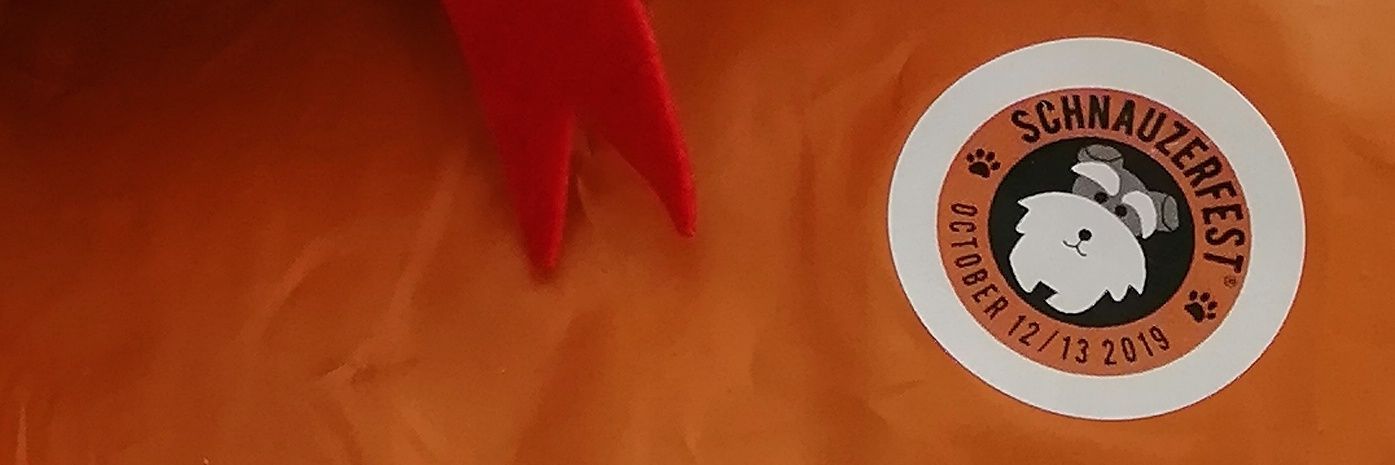 tiggerbeam's profile banner image