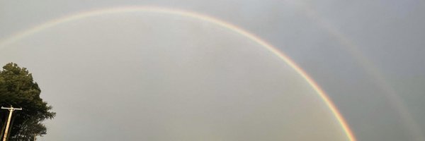 TheObserverNY Profile Banner