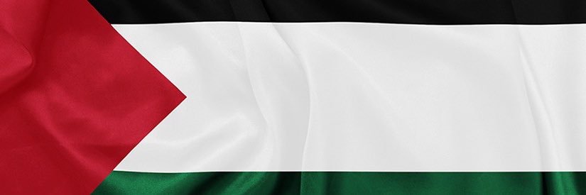rizurrexion's profile banner image